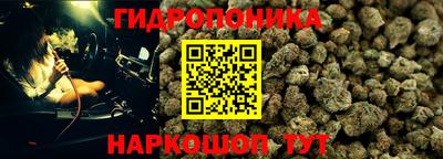 ALPHA PVP Новодвинск