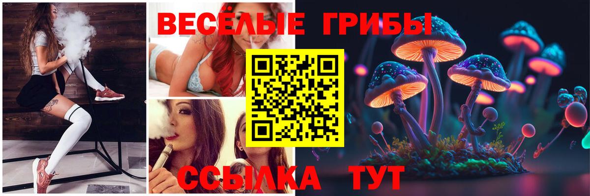 Сланцы  Псилоцибиновые грибы Psilocybe  Вход с VPN 